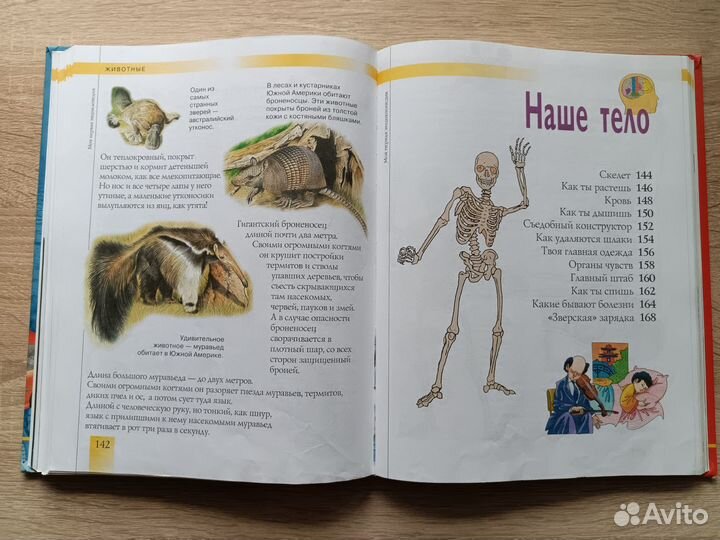 Детская энциклопедия, рассказы