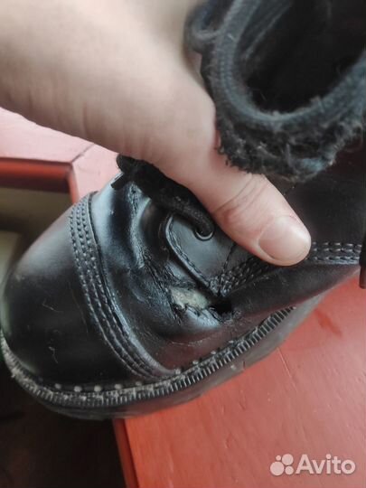 Ботинки grinders Bulldog