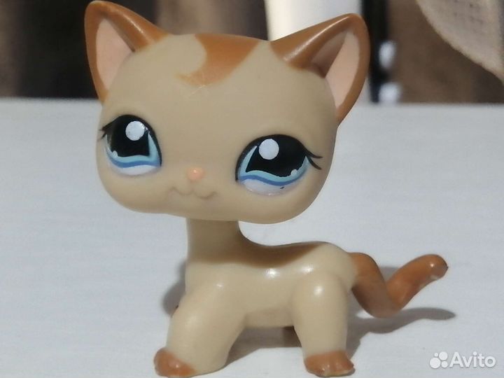 Лпс стоячки lps кошка такса колли собака кокер дог