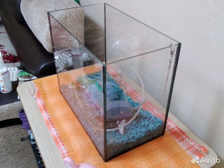 Аквариум