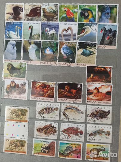 Почтовые марки Фауна