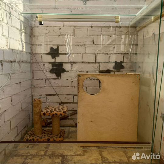 Вольер/террариум для домашних животных