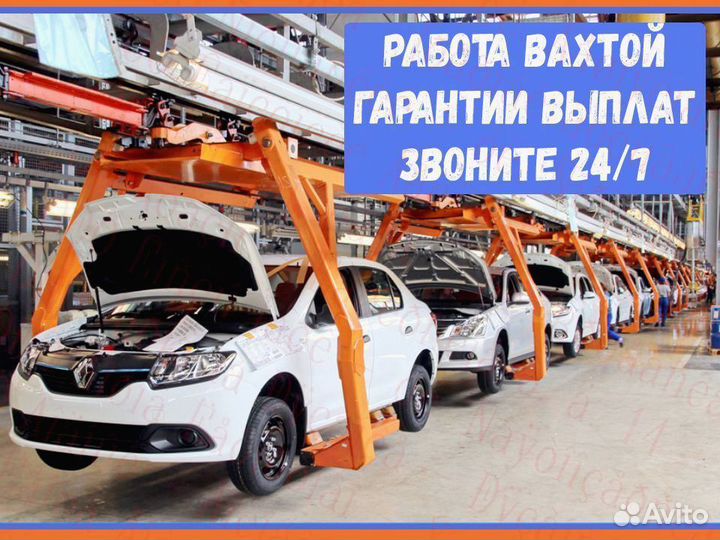 Стропальщик В СПБ Вахта 15/20/25/30 №588