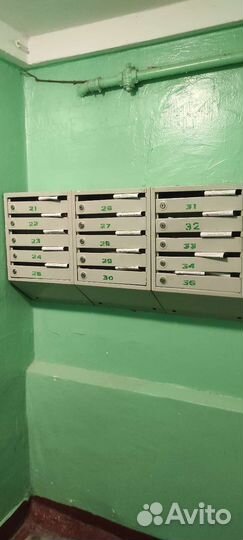 Расклейка и раскладка по почтовым ящикам