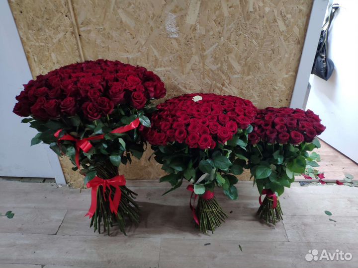 Роза букет розы букеты 51штук 101 штук