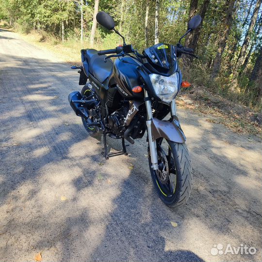 Рейсер нитро 250