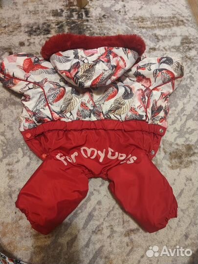 Одежда для собак пакетом