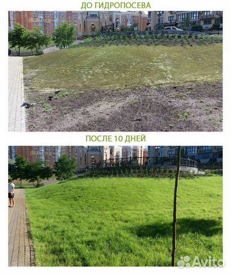 Гидропосев газона