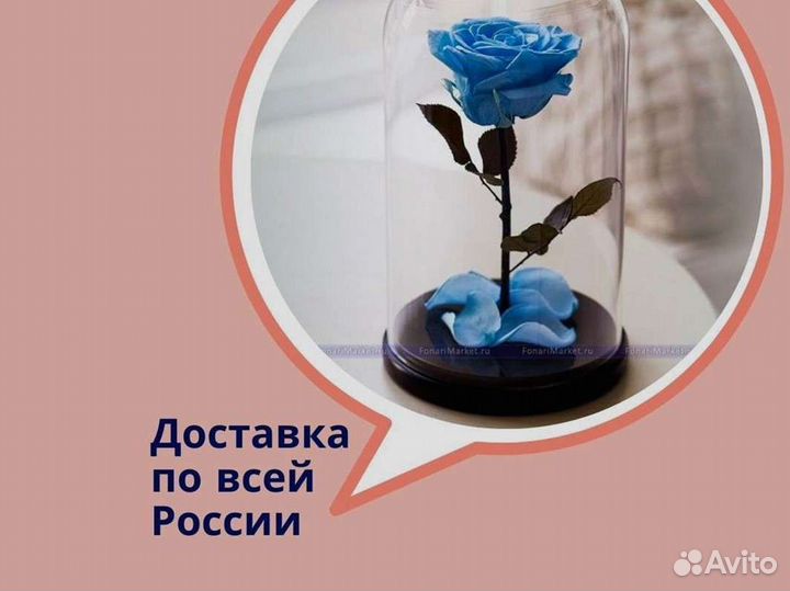 Роза в колбе. Неувядающая