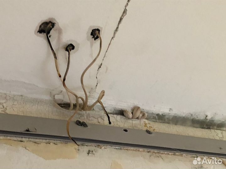 Натяжные потолки и ремонт.Слив воды