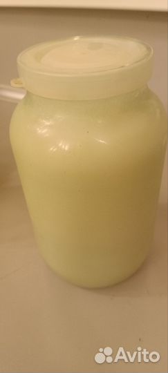 Жир лесной лечебный сентябрь 2023 г