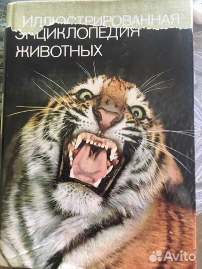Иллюстрированная энциклопедия животных