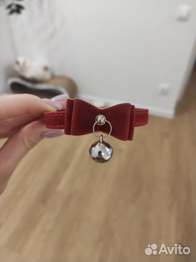 Ошейник для кошек мелких собак