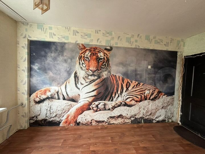 Комната 11 м² в 5-к., 5/5 эт.