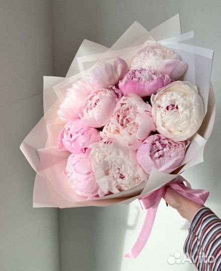 Букет Голландских пионов