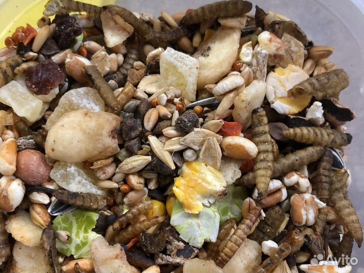 Корм-мешанина для хомяков