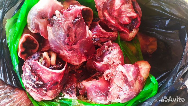 Рубец говяжий, требуха (корм для собак)