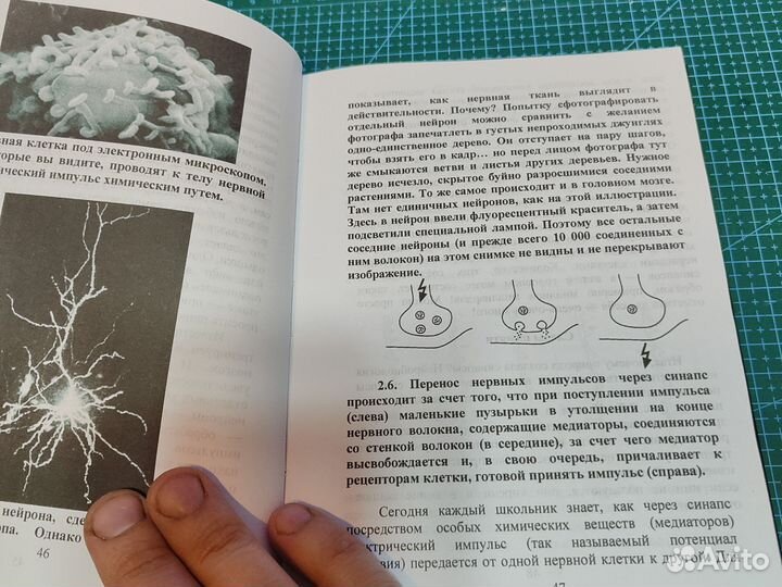 Книга для Анастасии