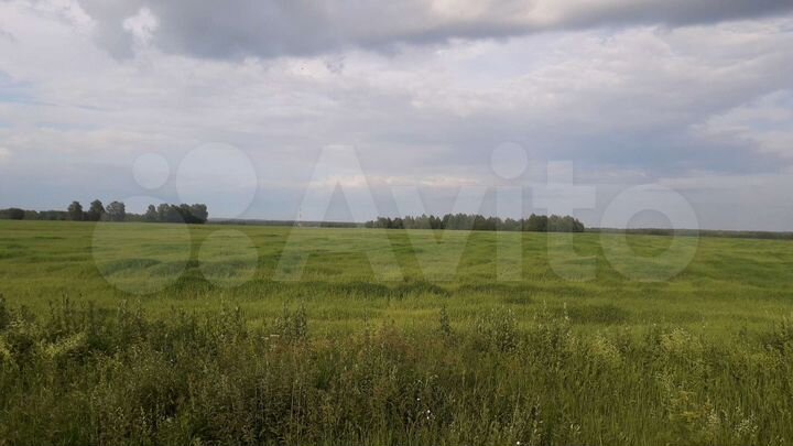 Участок 15 сот. (ИЖС)