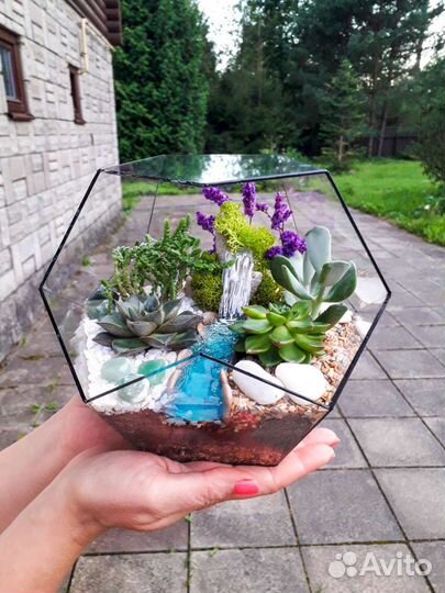 Флорариумы, моссариумы, суккуленты