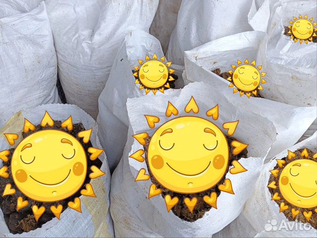 Навоз конский в мешках