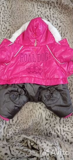 Одежда для собак