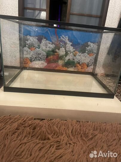 Аквариум террариум