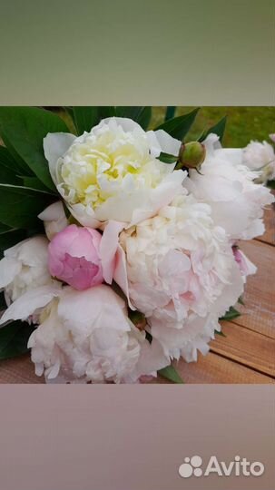 Свадебный букет невесты