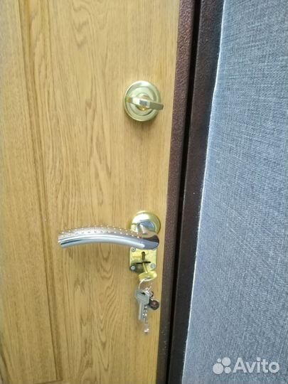 Дверь входная металлическая уличная