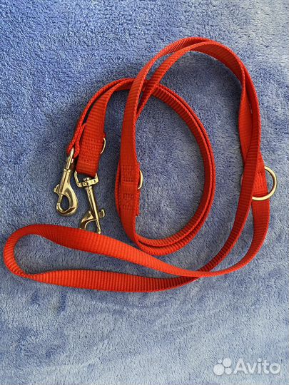Ошейник и поводок