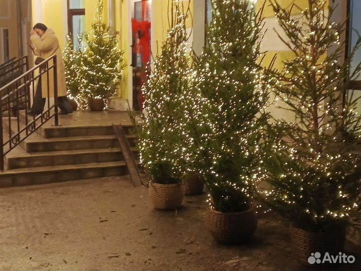 Кашпо корзины из ротанга