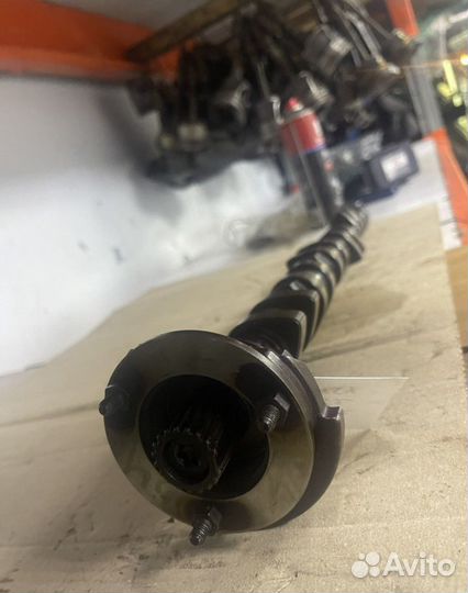 Впускной распредвал бмв м52 м54