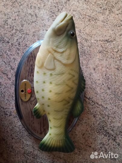 Подарок для рыбака, весёлый карп