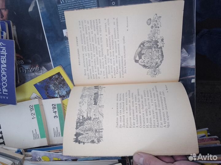 Лесные хоромы, Детская литература 1974 г