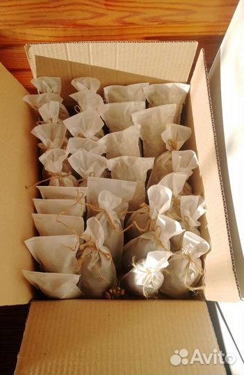 Банные запарки