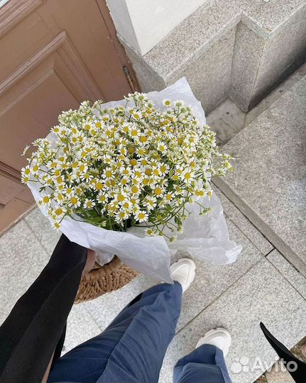 Ромашки букет