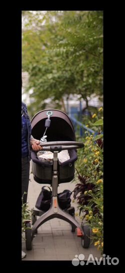 Коляска stokke v3