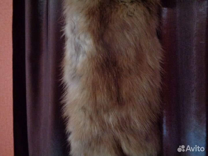 Шкурка куницы