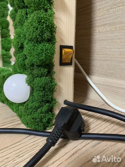 Зеркало с подсветкой и стабилизированным мхом