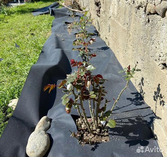 Геотекстиль от производителя