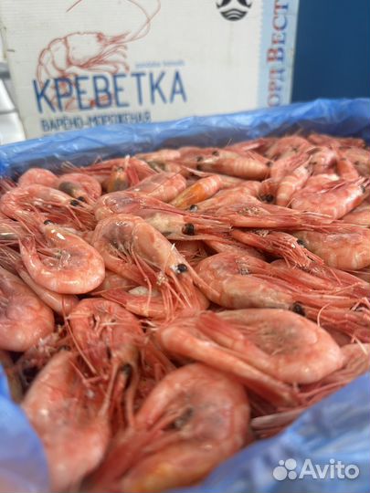 Северные креветки 90+ Мурманск