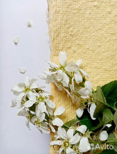 Бумага ручного литья. Набор 10 листов