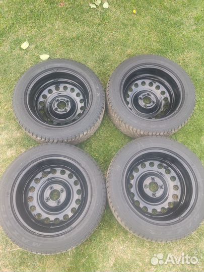 Maxxis Premitra Ice Nord NS5 205/55 R16