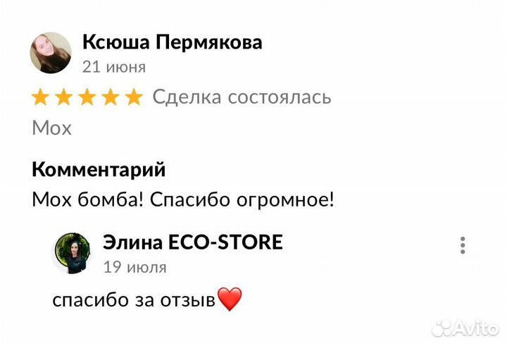 Логотип из мха 40 см