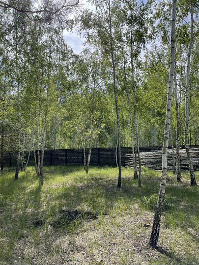 Участок 9 сот. (ИЖС)