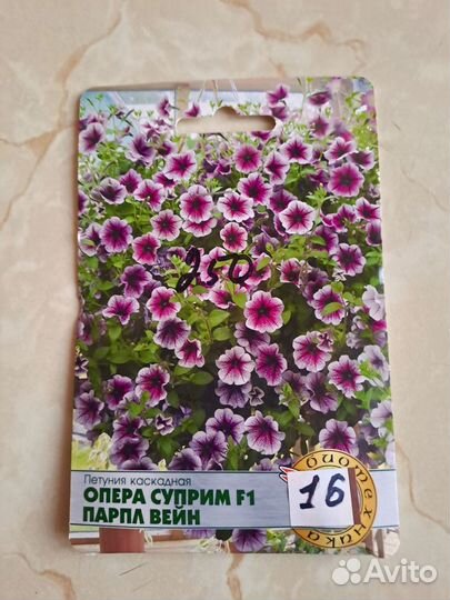 Рассада петунии