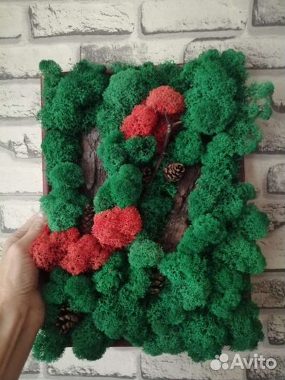 Кашпо и стабилизированный мох