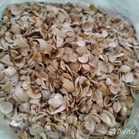 Ракушка грунт для аквариума