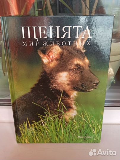 Книга щенята панда мир животных