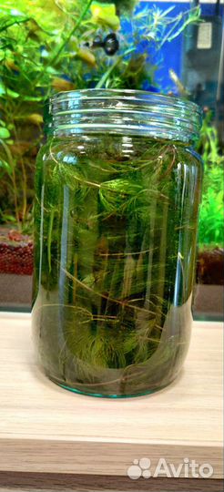 Прополка для аквариума